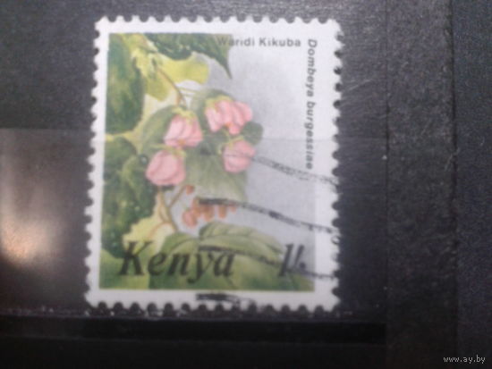 Кения, 1985. Дамбея бургессия. Mi-1,50 евро гаш.