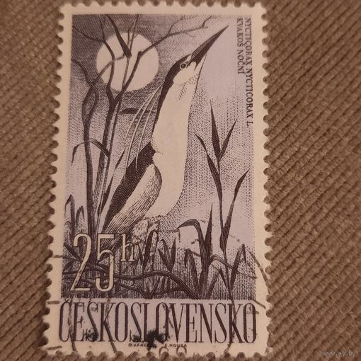 Чехословакия. Фауна. Птицы. Nycticorax