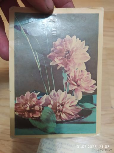 И. Ананьин  1969г.