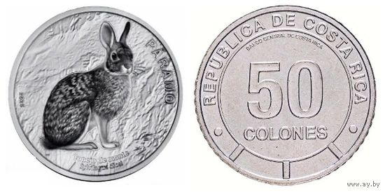 Коста-Рика, 50 колонов 2023 г. Горный кролик