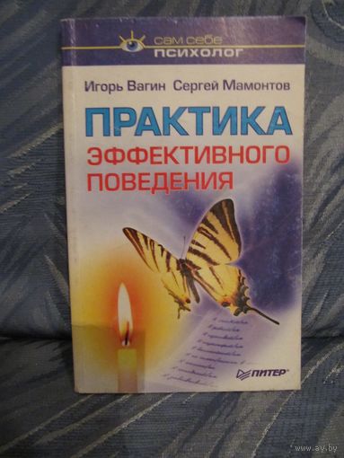 Игорь Вагин, Сергей Мамонтов "Практика эффективного поведеня"