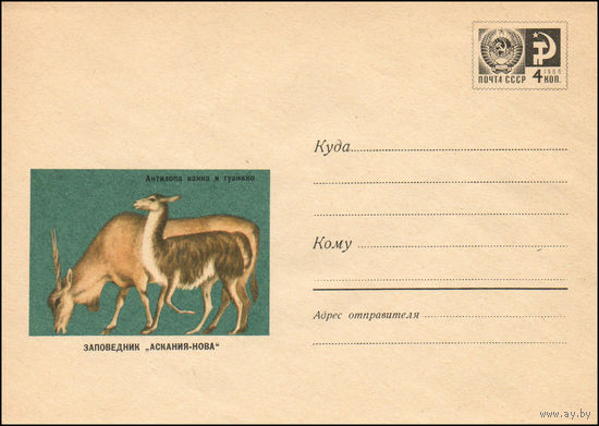 Художественный маркированный конверт СССР N 5616 (24.05.1968) Заповедник "Аскания-Нова"  Антилопа канна и гуанако