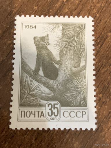 СССР 1984. Соболь. Марка из серии