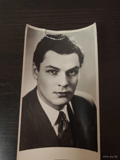 Артисты,Шворин