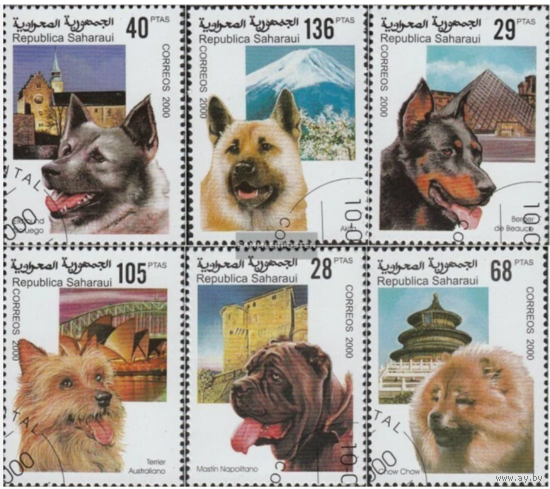 2000 Республика Сахара собаки.