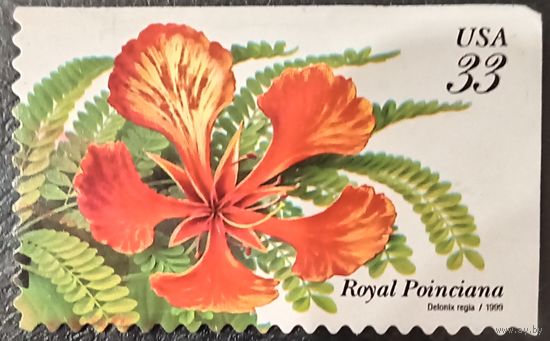 США 1999. Флора. Royal Poinciana