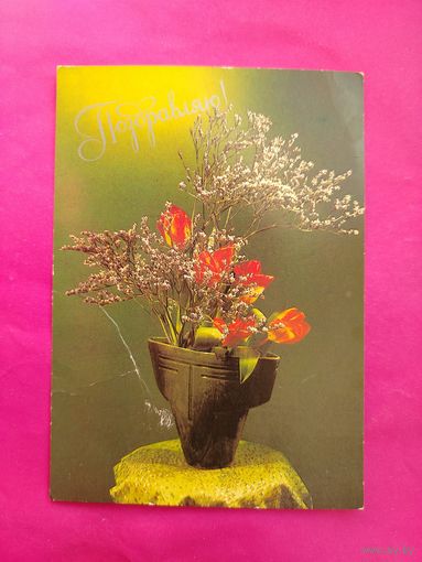 Поздравляю! Чистая. 1984 года. Фото Суворовой. 1766.