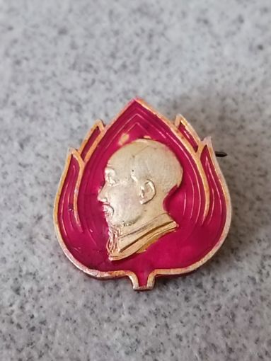 Хо Ши Мин. Пионеры Вьетнама