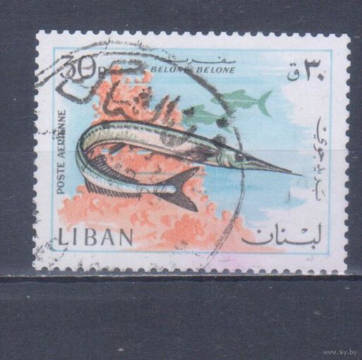 [520] Ливан 1968. Фауна.Рыба.30 п. Гашеная марка.