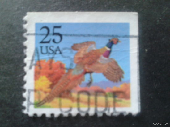 США 1988 стандарт, птица