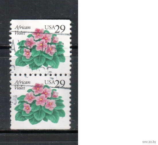 США-1993, (Мих.2404 D), гаш., Стандарт, Флора, Цветы , (одиночка), пара