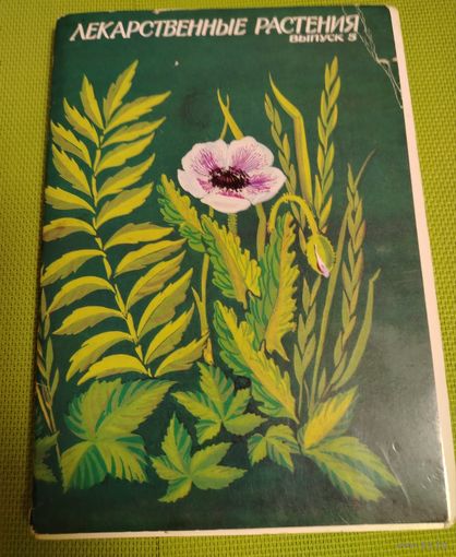 Лекарственные растения. 32 открытки. 5 выпуск. М., 1987.