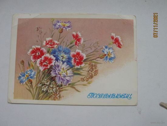 Дергилева В. 1990г.