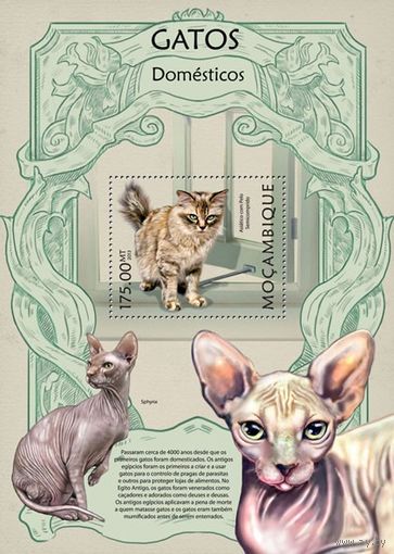 Кошки Мозамбик 2013 год 1 блок