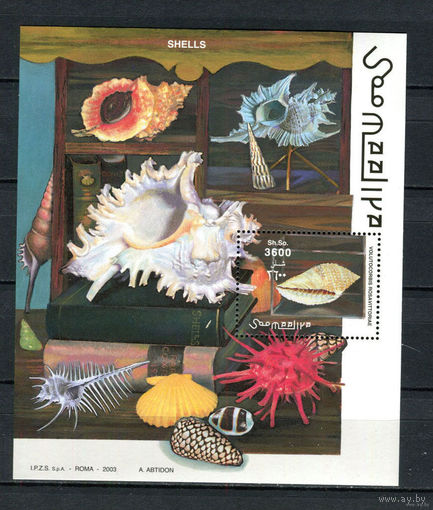 Сомали - 2003 - Ракушки   MNH