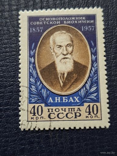 Бах