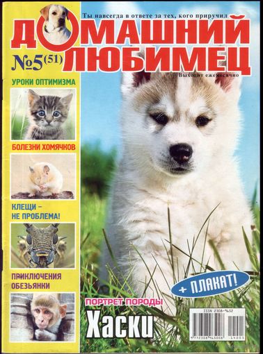 Домашний любимец #51