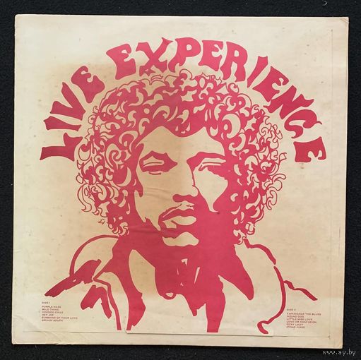 Jimi Hendrix – Live Experience