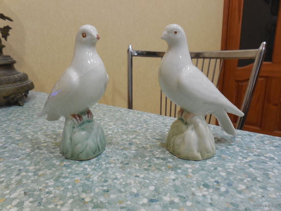 Два голубя. Минск.