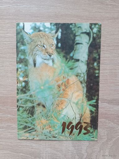 Календарик 1993