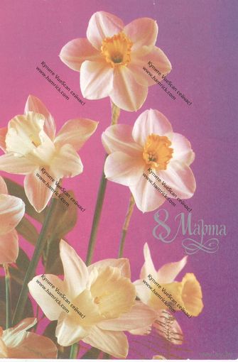 Открытка 8 марта, 1988 г., подписана