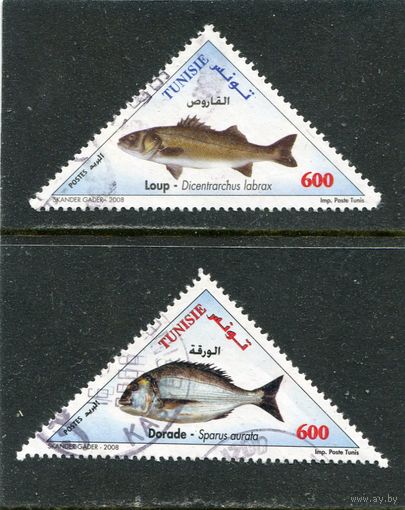 Тунис. Фауна. Рыбы