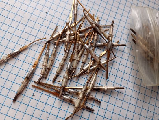 Посеребренка