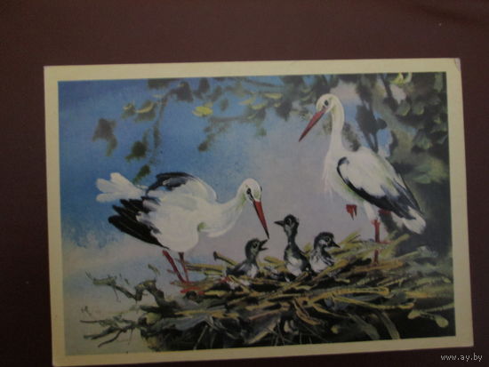Почтовая открытка.СССР.1980г.Чистая.