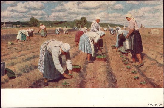 Соцреализм 1952 год Ю.Кугач На огороде
