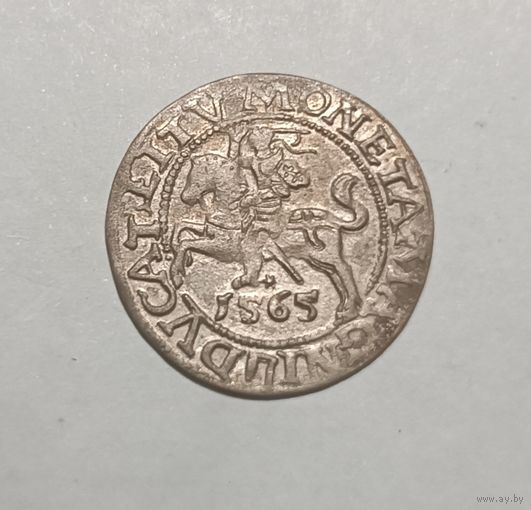 Паўгрошы Жыгiмонта II. 1565, Вильно. Очень хороший
