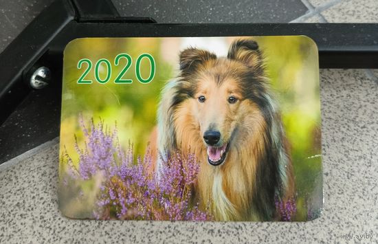 Календарик карманный 2020 колли