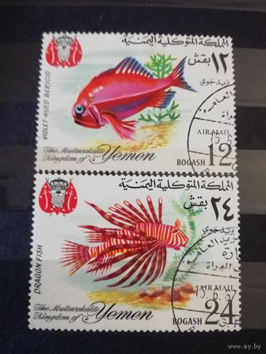 Йемен 1967г Рыбы