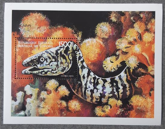 1999 - Морская жизнь - Коморские острова