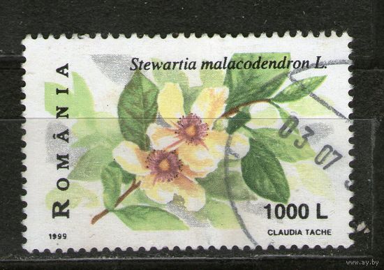 Румыния. Михель- 5390. Гашеная.