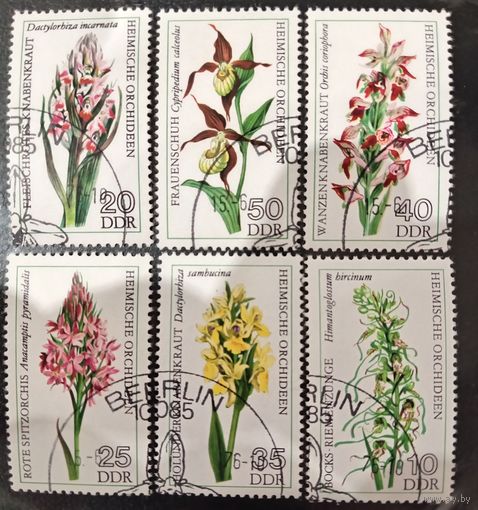 ГДР 1976. Флора. Орхидеи. Полная серия