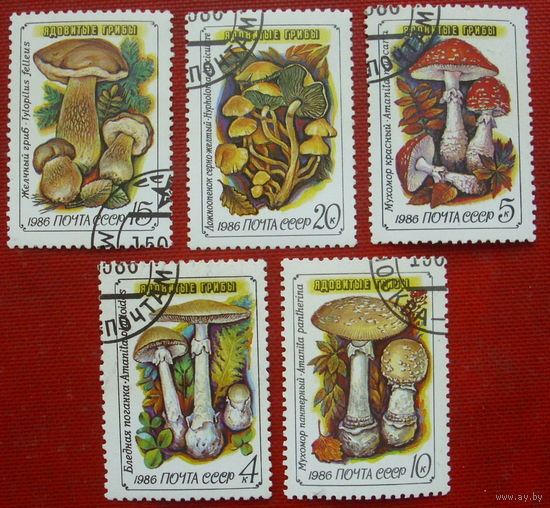 СССР. Ядовитые грибы. ( 5 марок ) 1986 года. 6-15.