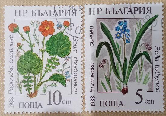 Болгария 1988. Флора. Цветы