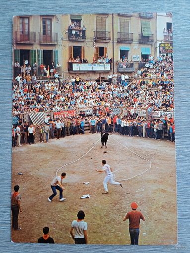 Этнография. Испания, Кардона. Фестиваль типико Таурино