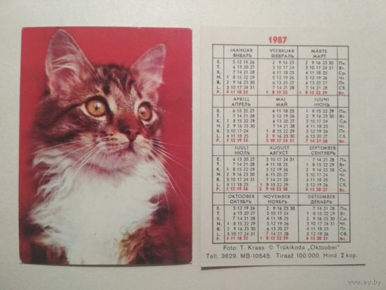 Карманный календарик. Котик .1987 год