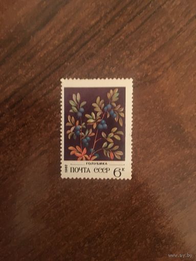 СССР 1982. Голубика