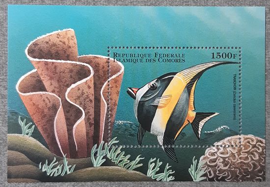 1999  Морская рифовая рыба Федеральная Исламская Республика Коморские острова