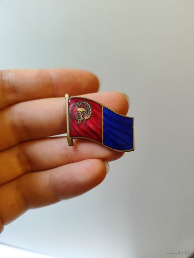 Знак члена партии "Союз Народовластия и Труда". Россия.