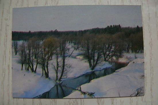 Календарик, 1989, Природа.