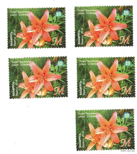 Марка Лилия 'Зоренька'