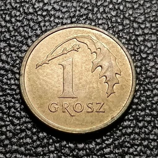 1 грош 2013