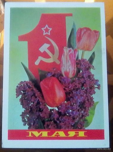1981 год И.Дергилёв 1 мая
