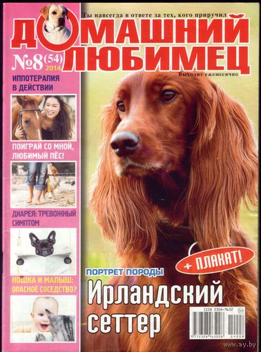 Домашний любимец #54