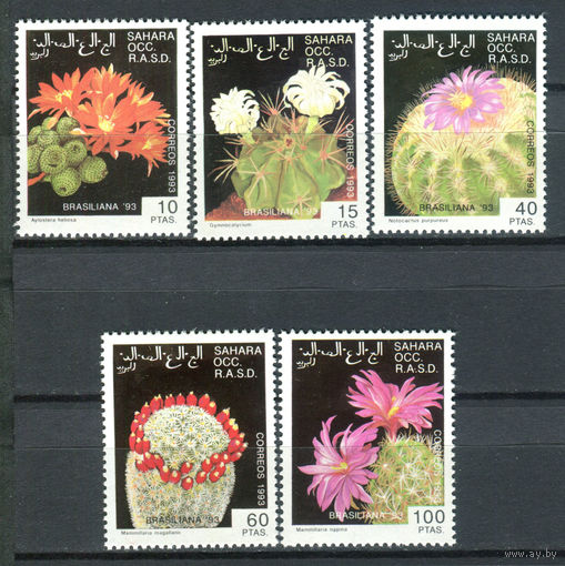 Западная Сахара - 1993г. - Кактусы - полная серия, MNH - 5 марок