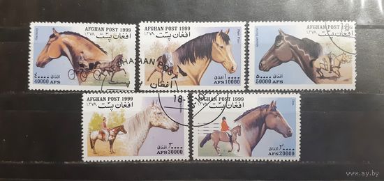 Афганистан. 1999 год. Лошади (1134)