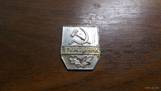 Значек Дружинник